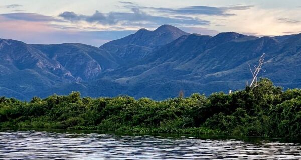 Sanção do Estatuto do Pantanal resolve contestação no STF e reafirma legislações estaduais vigente