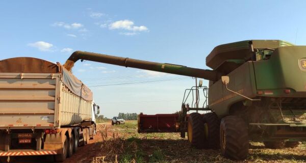 Produção agropecuária de MS cresce 24% e movimenta R$ 76 bilhões
