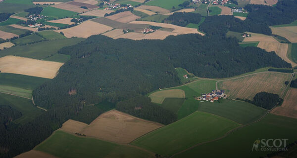 A agropecuária no Brasil onde 65,6% das matas são preservadas