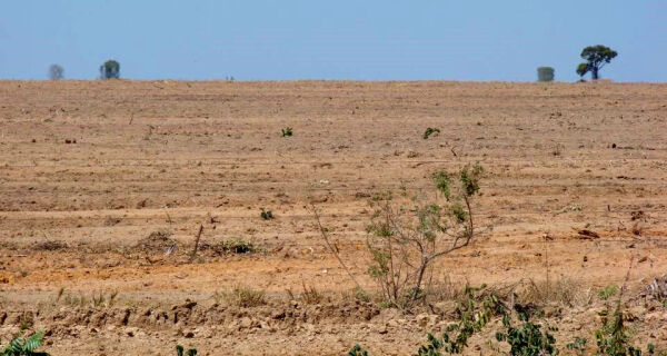 Mapa assina acordo com agência do Japão para recuperar pastagens
