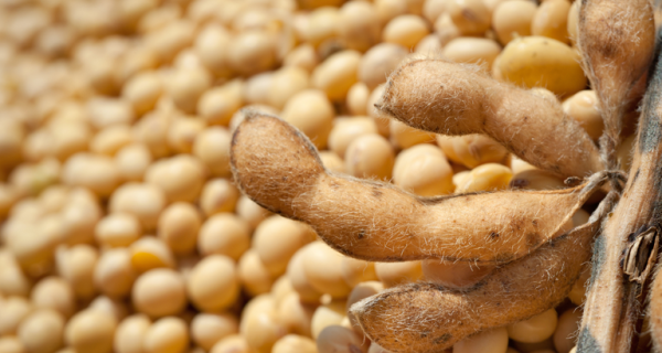 Exportações do agronegócio somam US$ 15,49 bilhões em outubro e registram recorde para o mês