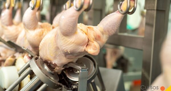 Exportações de carne de frango avançam no volume em novembro, mas preços recuam