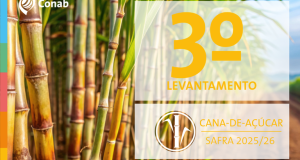 Restrição hídrica impacta produção de cana estimada em 666,4 milhões de toneladas na safra 2025/26