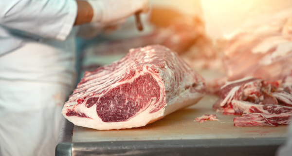 Mapa regulamenta credenciamento de empresas para apoio à inspeção ante mortem e post mortem no SIF