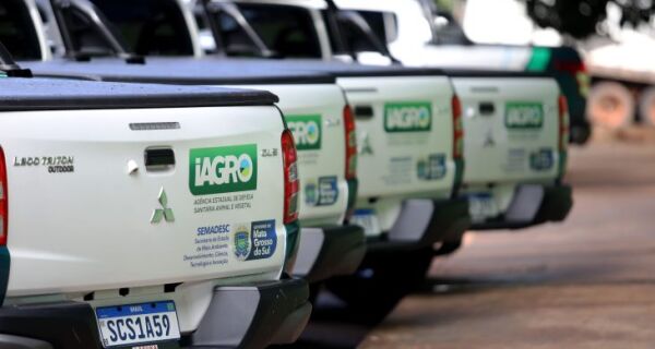 Produtores de MS podem renegociar multas ambientais e sanitárias com Iagro e Imasul com descontos