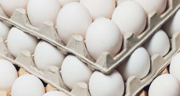 Brasil avança com a União Europeia e retoma sistema de pre-listing para comercialização de ovos