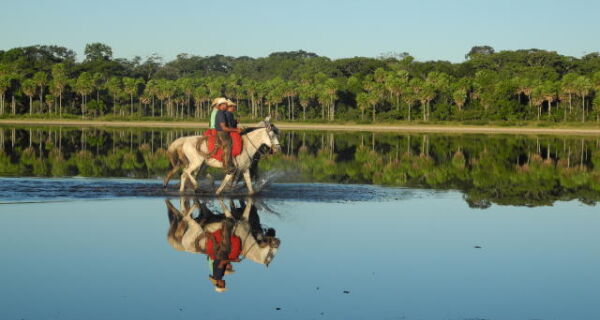 Tecnologia de avaliação da sustentabilidade da pecuária do Pantanal recebe R$ 20 milhões