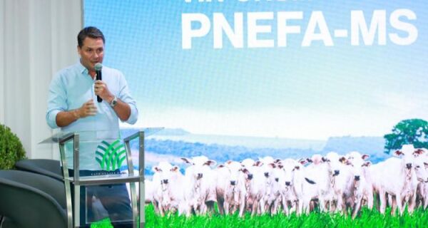 Fórum do PNEFA marca nova etapa da pecuária após reconhecimento internacional da aftosa sem vacina