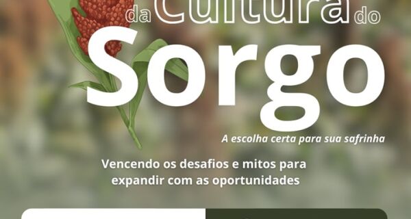 Série 'Seminários da Cultura do Sorgo' começa dia 26 de novembro em Maracaju (MS)