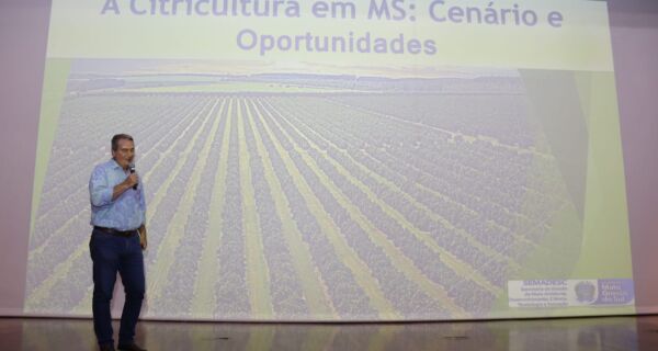 MS fortalece citricultura com capacitação regional e reforço à segurança sanitária
