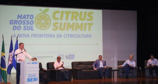 Com apoio do Estado e ambiente positivo, citricultura de MS avança como nova fronteira agrícola