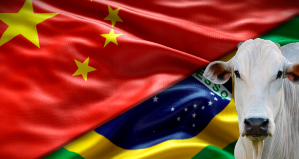 Como a China pode influenciar o preço da carne bovina no Brasil em 2026