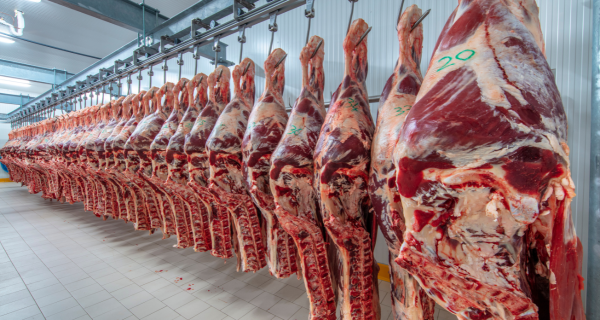 Indústria da carne bovina confia em abertura do mercado japonês para o primeiro semestre de 2026