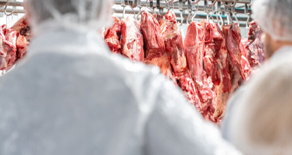 Ritmo de embarques de carne bovina continua surpreendendo