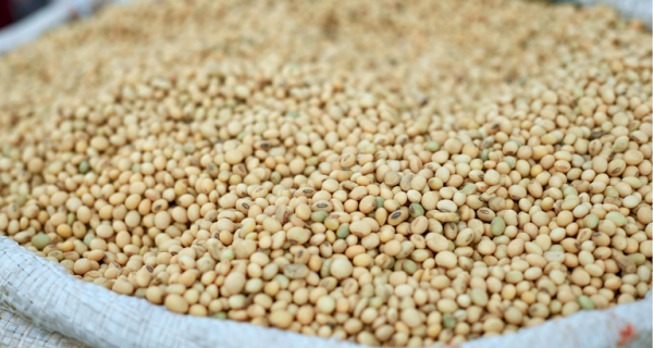 Agro exporta US$ 13,4 bilhões em novembro e responde por quase metade das vendas externas do País