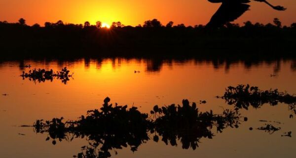 O isolamento que não perdoa vidas no Pantanal de Paiaguás
