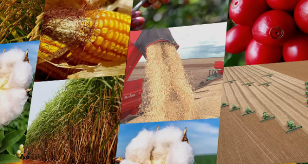 Cepea disponibiliza agromensais de novembro com análise de setores do agro