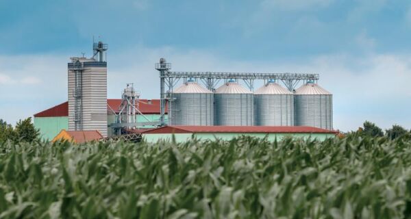 Investimento agrícola cresce 26% em Mato Grosso do Sul