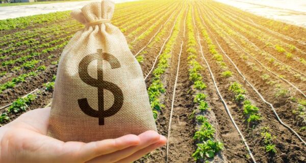 Nova norma técnica da reforma tributária acende alerta no agro para 2026