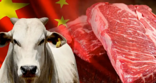 Frigoríficos pedem para governo negociar salvaguarda da China à carne bovina