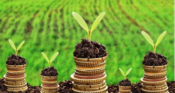 Conselho do FCO aprova 73 pedidos de empréstimos no valor de R$ 129 mil