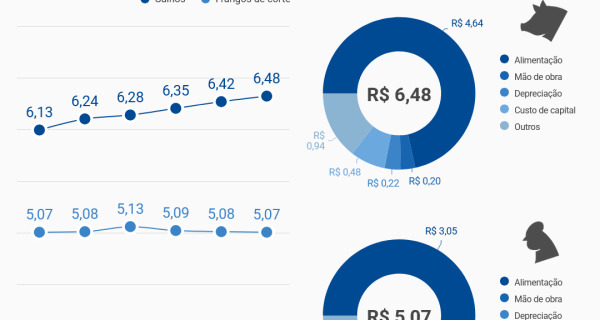 Custos de produção do frango de corte caem em 2025, enquanto suínos registram alta