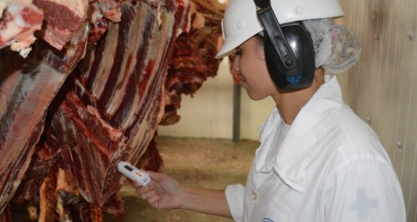 Pecuária de MS fecha 2025 com aumento de 4,52% nos abates