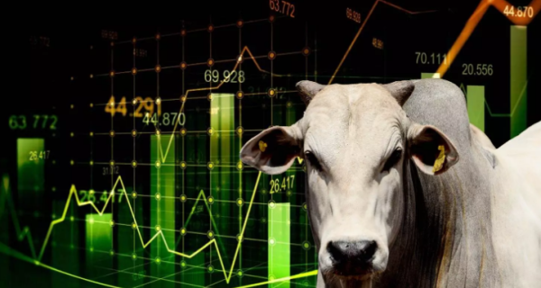 Mercado futuro do boi gordo opera em clima de otimismo e entrega ágio de quase R$ 10/@