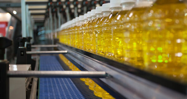 Exportação recorde da indústria de MS em novembro alivia retração da produção do setor no período