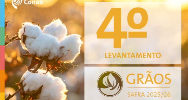 Produção de grãos e área plantada da safra 2025/26 mantém perspectiva de novos recordes