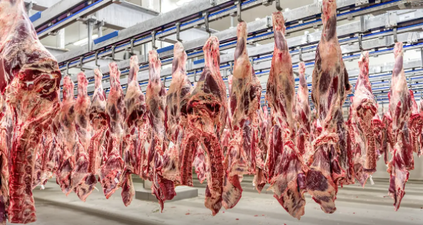 Plano prevê divisão de cotas de exportação de carne para a China até setembro