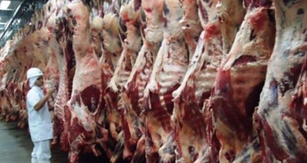 Exportações de carne bovina, soja, milho e ferro-gusa são destaque positivo na balança comercial