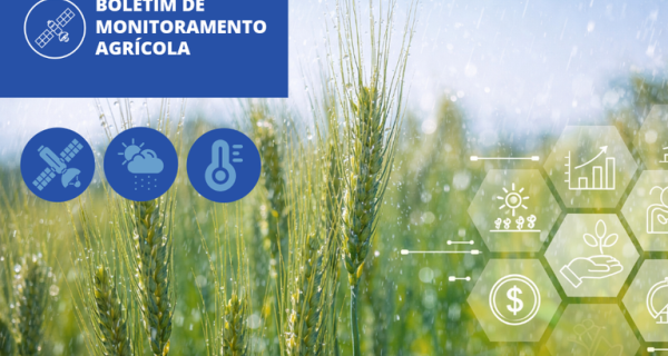 Chuvas favorecem desenvolvimento das lavouras de primeira safra em grande parte do país em janeiro