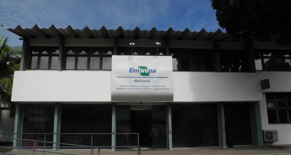 Embrapa Pantanal completa 51 anos de atividades na região Pantaneira