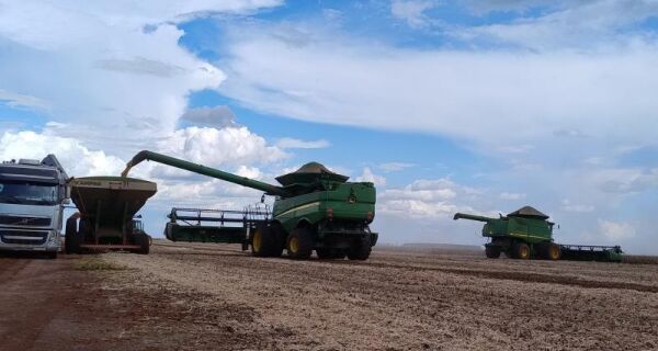 Colheita da soja e plantio do milho avançam em ritmo mais lento em MS