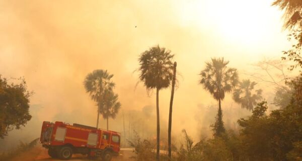 El Niño eleva risco de fogo no Pantanal e MS assegura resposta estratégica 