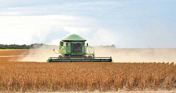 Em janeiro, IBGE prevê safra de 342,7 milhões de toneladas para 2026