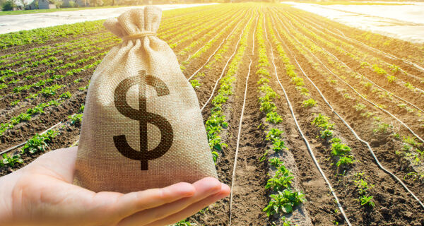 Inadimplência no crédito rural foi recorde em 2025