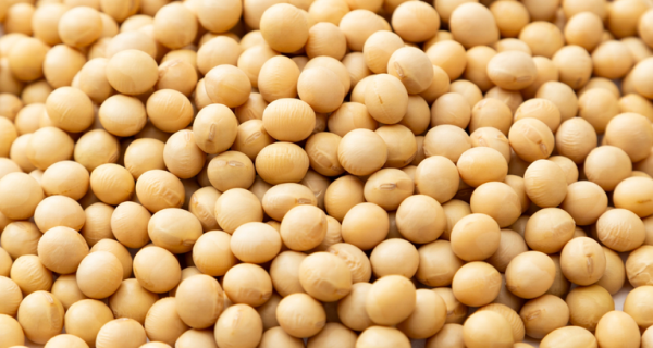 Aberturas de mercado para o Brasil no México e nas Filipinas