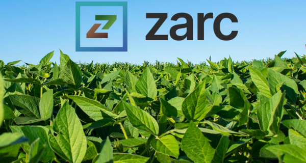 Novo painel do Zarc moderniza consulta às janelas de plantio e reforça gestão de riscos no campo