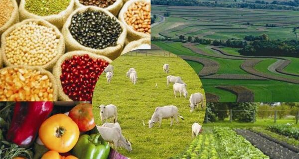 Empurrado pelo agro, PIB cresce 2,3% em 2025 e fecha o ano em R$ 12,7 trilhões