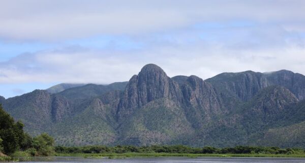 Para preservar o Pantanal, PSA Brigadas destinou mais de R$ 6,1 milhões para projetos sustentáveis