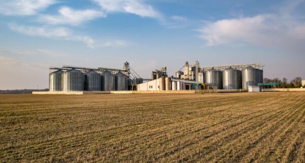 Comercialização de soja e milho apresenta ritmo cauteloso em MS