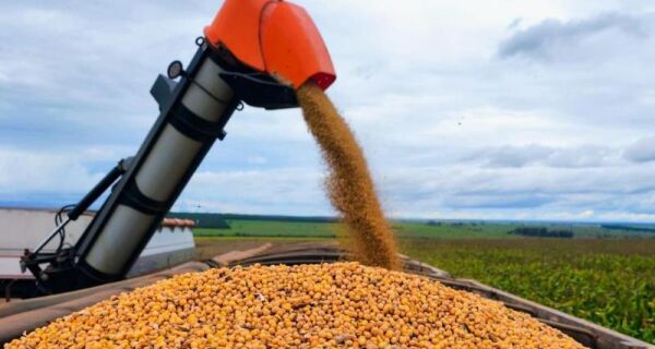 Colheita da soja em MS alcança 82% da área e plantio do milho chega a 84,6%