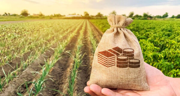 Senar-MS leva debate sobre reforma tributária no agro para Expogrande