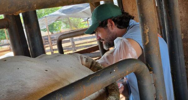 Embrapa e Geneplus investem em produção de embriões de alto valor genético