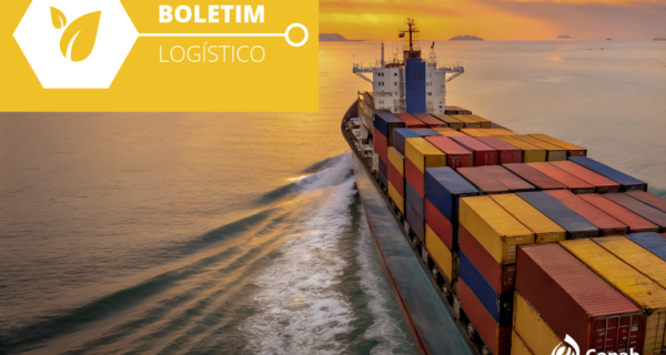 Crescimento das exportações de soja é acompanhado pelo aumento de fretes