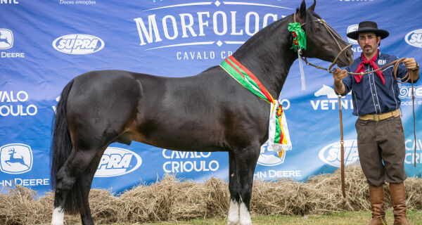 Cavalo crioulo promove Exposição Passaporte na 86ª Expogrande 