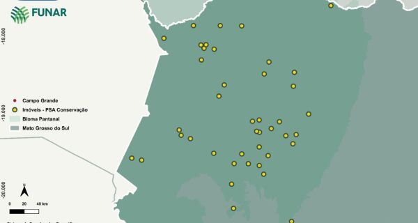 Inscrições para segunda chamada do PSA Conservação do Pantanal prosseguem até 6 de abril