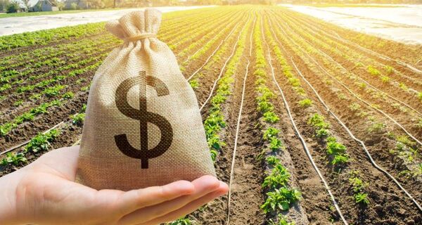 Faturamento do agro em 2025 atinge novo recorde; 2026 se inicia em meio a grandes incertezas